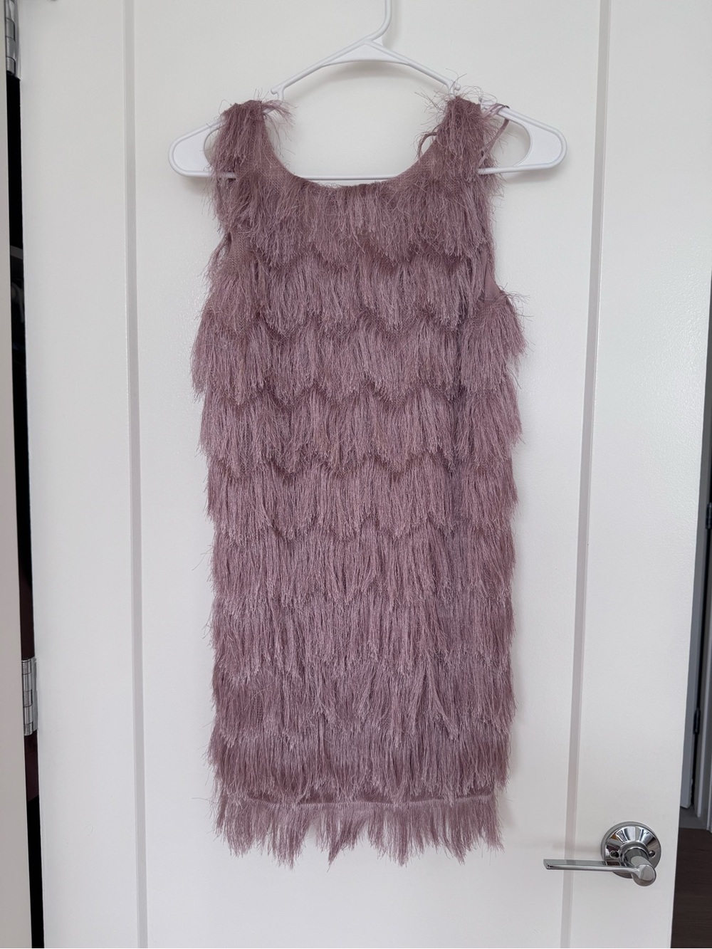 Zara Blush Fringe Dress Size XS